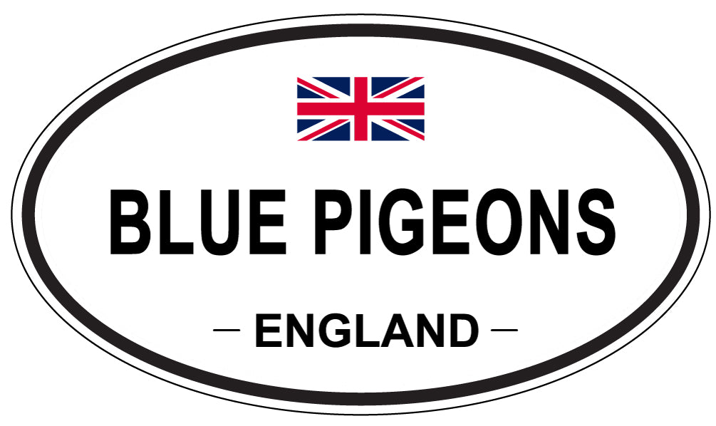 BLUE PIGEONS, England - Oval Magnet