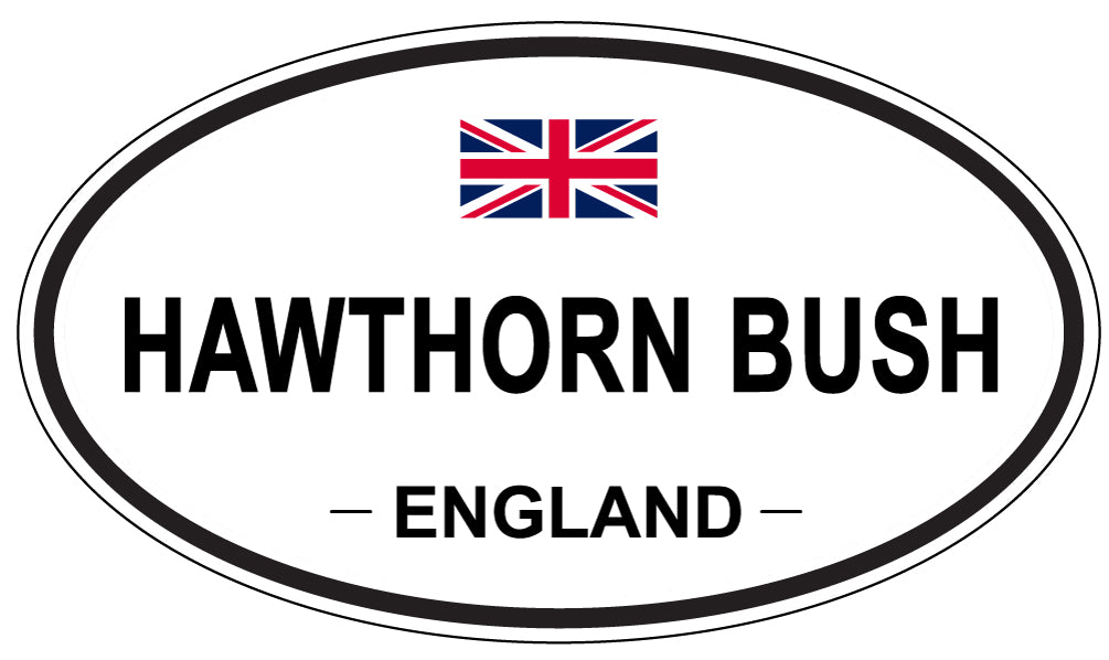 HAWTHORN BUSH, England - Oval Magnet