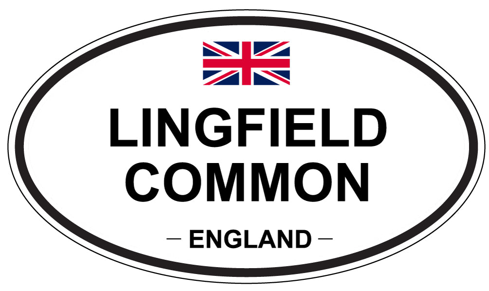 LINGFIELD COMMON, England - Oval Magnet