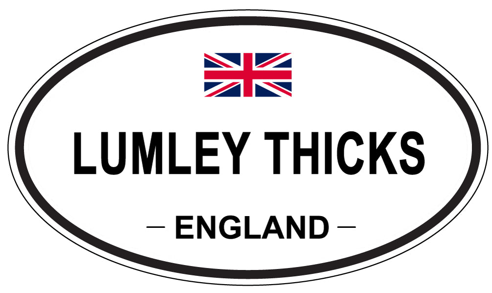 LUMLEY THICKS, ENGLAND - Oval Sticker