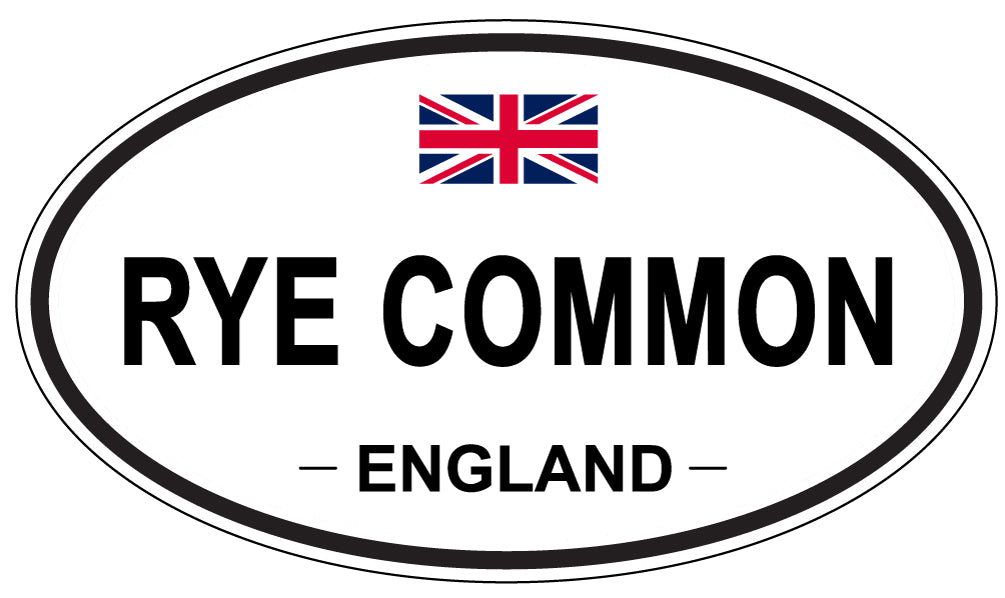 RYE COMMON, England - Oval Magnet