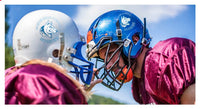 Premium Helmet Decals