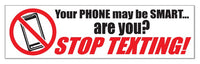 Vinyl Bumper Stickers example 7