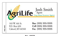 Appointment Cards example 9