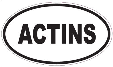ACTINS - Oval Sticker
