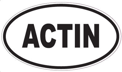 ACTIN - Oval Magnet