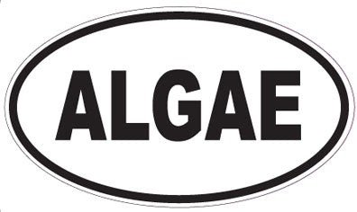 ALGAE - Oval Magnet