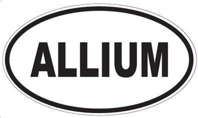 ALLIUM - Oval Sticker