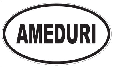 AMEDURI - Oval Magnet