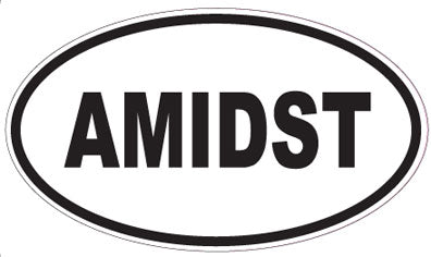 AMIDST - Oval Sticker