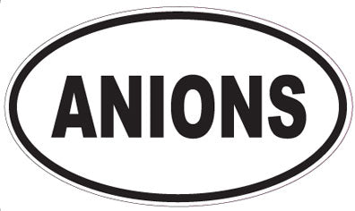 ANIONS - Oval Sticker