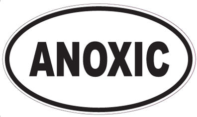 ANOXIC - Oval Sticker