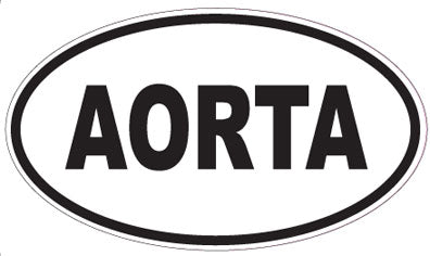 AORTA - Oval Magnet