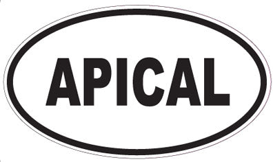 APICAL - Oval Sticker