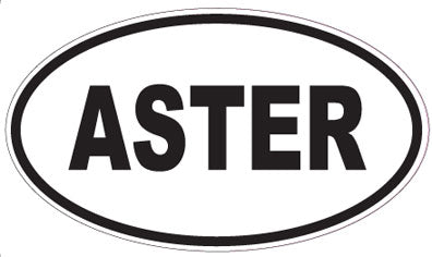 ASTER - Oval Sticker