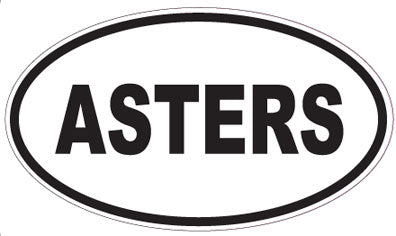 ASTERS - Oval Sticker
