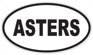 ASTERS - Oval Magnet