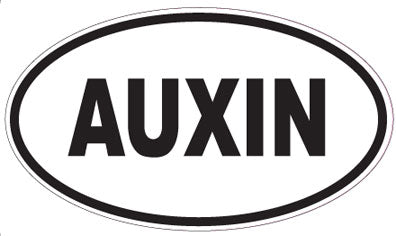 AUXIN - Oval Sticker