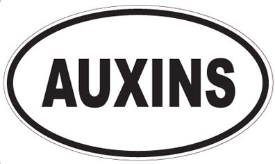 AUXINS - Oval Sticker