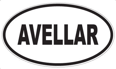 AVELLAR - Oval Magnet