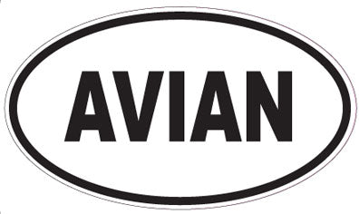 AVIAN - Oval Magnet