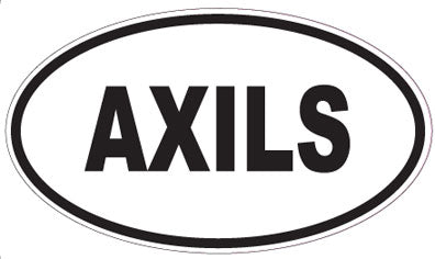 AXILS - Oval Magnet