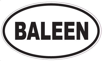 BALEEN - Oval Sticker