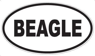 BEAGLE - Oval Magnet