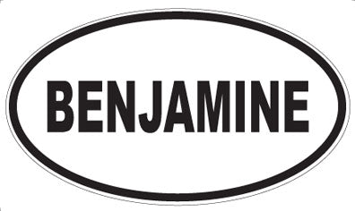 BENJAMINE - Oval Magnet
