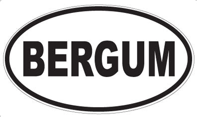 BERGUM - Oval Magnet