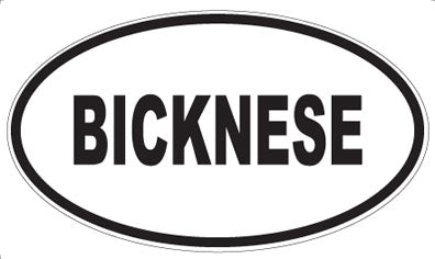 BICKNESE - Oval Magnet