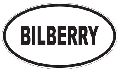 BILBERRY - Oval Magnet