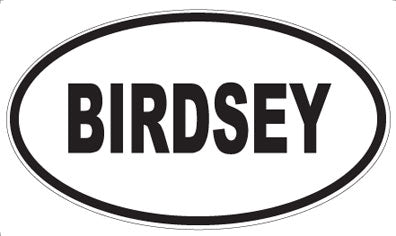 BIRDSEY - Oval Magnet
