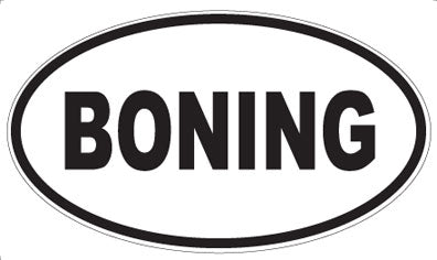 BONING - Oval Magnet