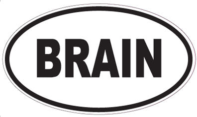 BRAIN - Oval Magnet