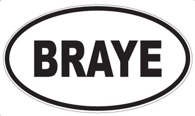 BRAYE - Oval Magnet