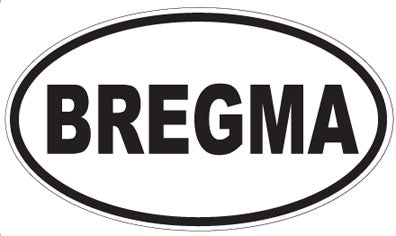 BREGMA - Oval Sticker