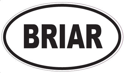 BRIAR - Oval Magnet