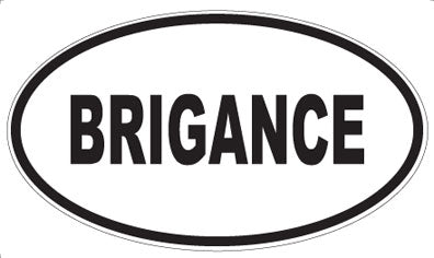 BRIGANCE - Oval Magnet