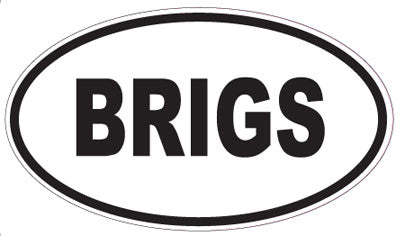 BRIGS - Oval Magnet