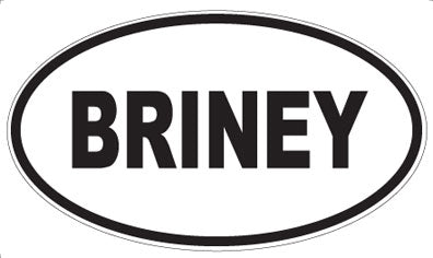 BRINEY - Oval Magnet