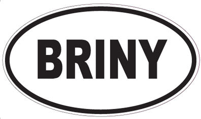 BRINY - Oval Magnet