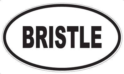 BRISTLE - Oval Magnet