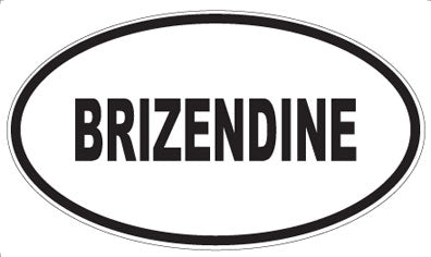BRIZENDINE - Oval Magnet