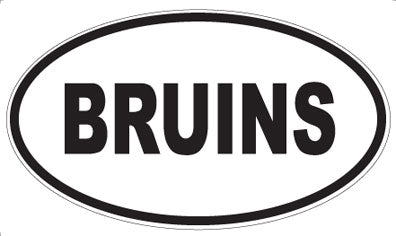 BRUINS - Oval Magnet