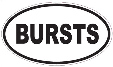 BURSTS - Oval Sticker