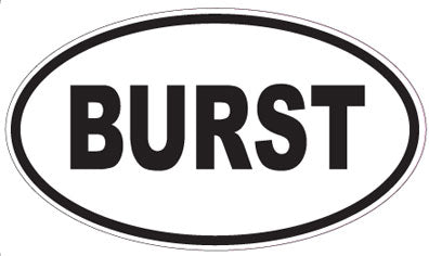 BURST - Oval Magnet