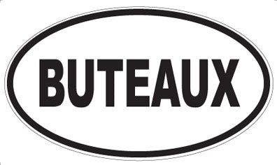 BUTEAUX - Oval Magnet