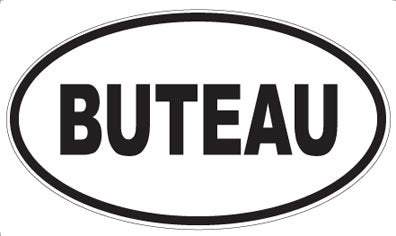 BUTEAU - Oval Magnet