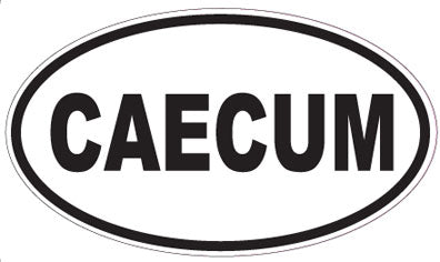 CAECUM - Oval Sticker